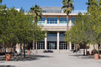 weather and pests in tucson